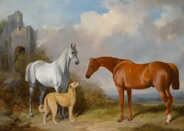 Barraud, William: Grey a Chestnut Hunter s chrtem