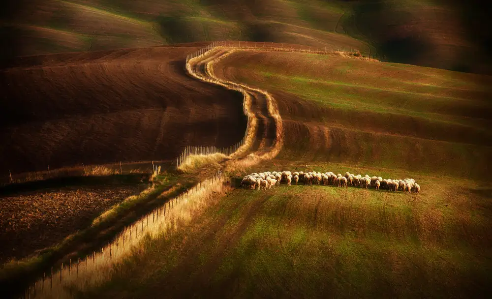 Svoboda, Peter: Attraversando i campi