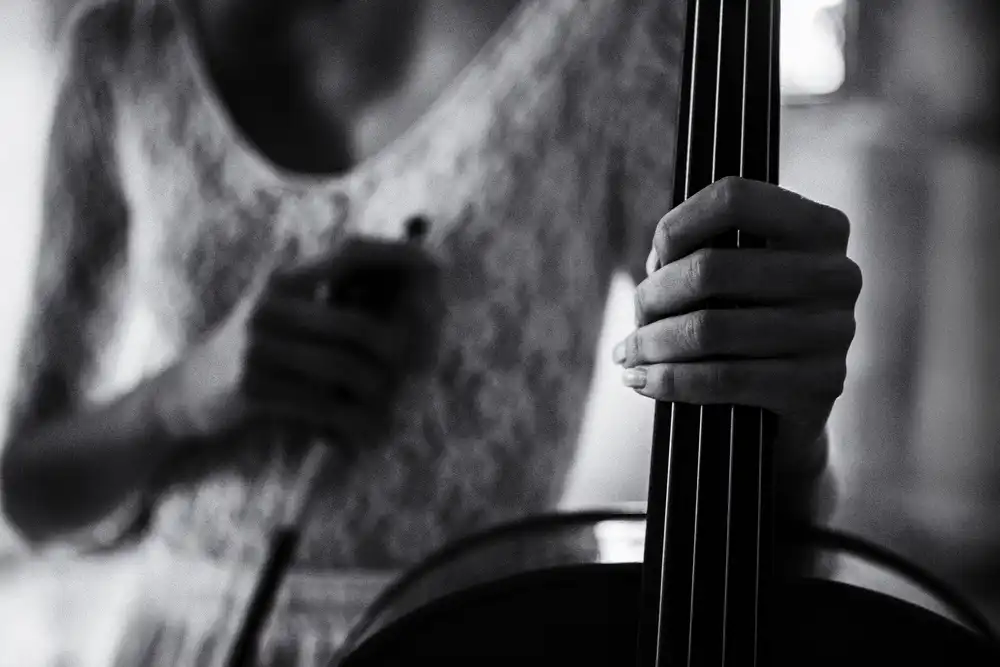 Schleicher-Schwarz, Roswitha: přestávka na violoncello
