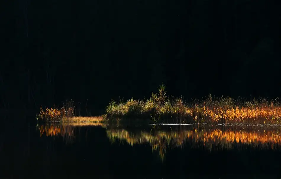 Johansson, Bror: Lac noir