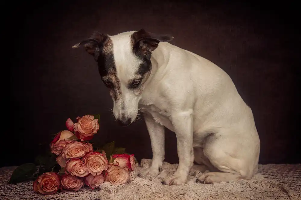 Willers, Heike: As time goes by...