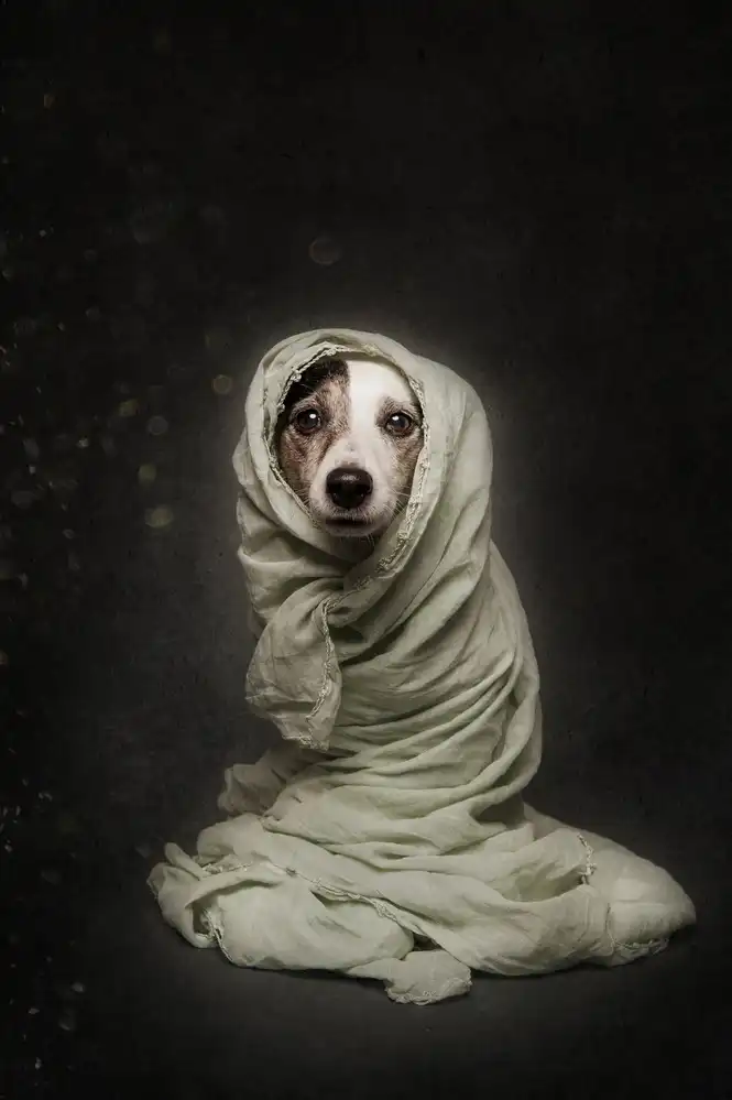 Willers, Heike: Wrapped