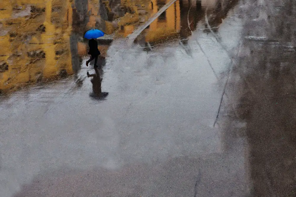 Latta, Della Massimo: Der blaue Regenschirm