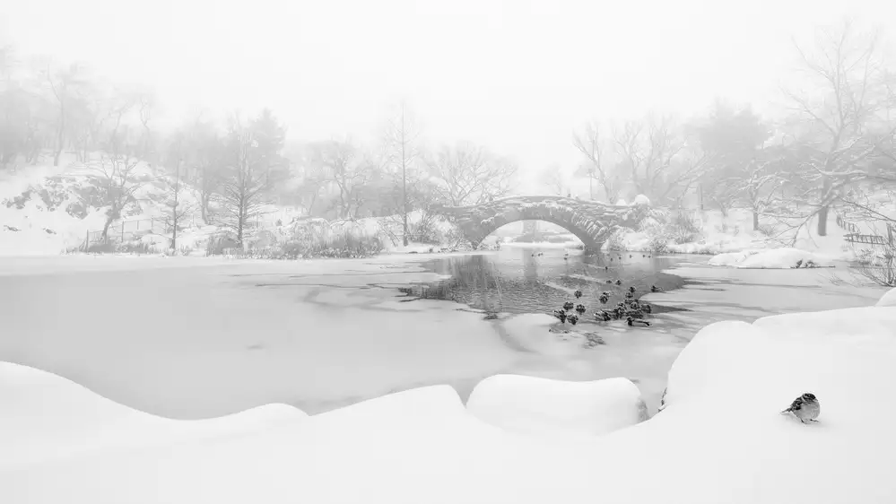 menghuailin: La prima neve di Central Park