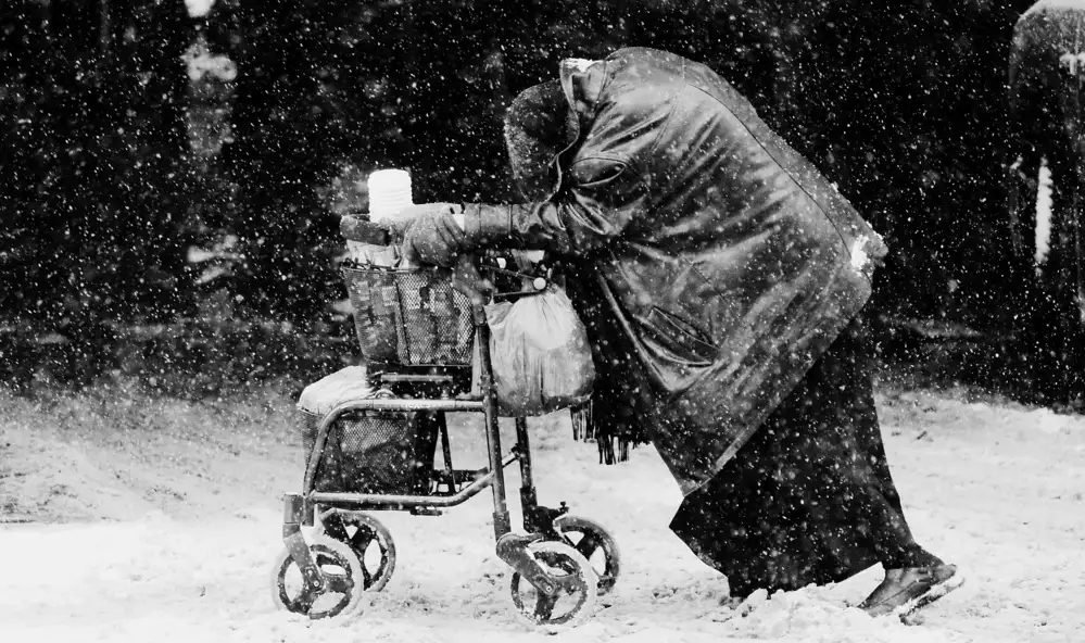 Wang, Jian: Giorno di neve