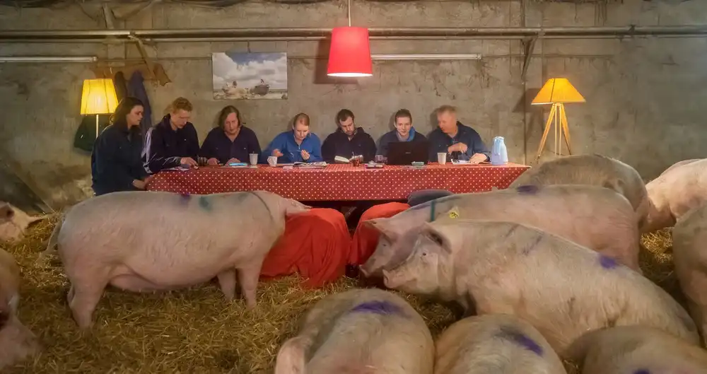 Bosch, den Gert: Consiglio di partecipazione