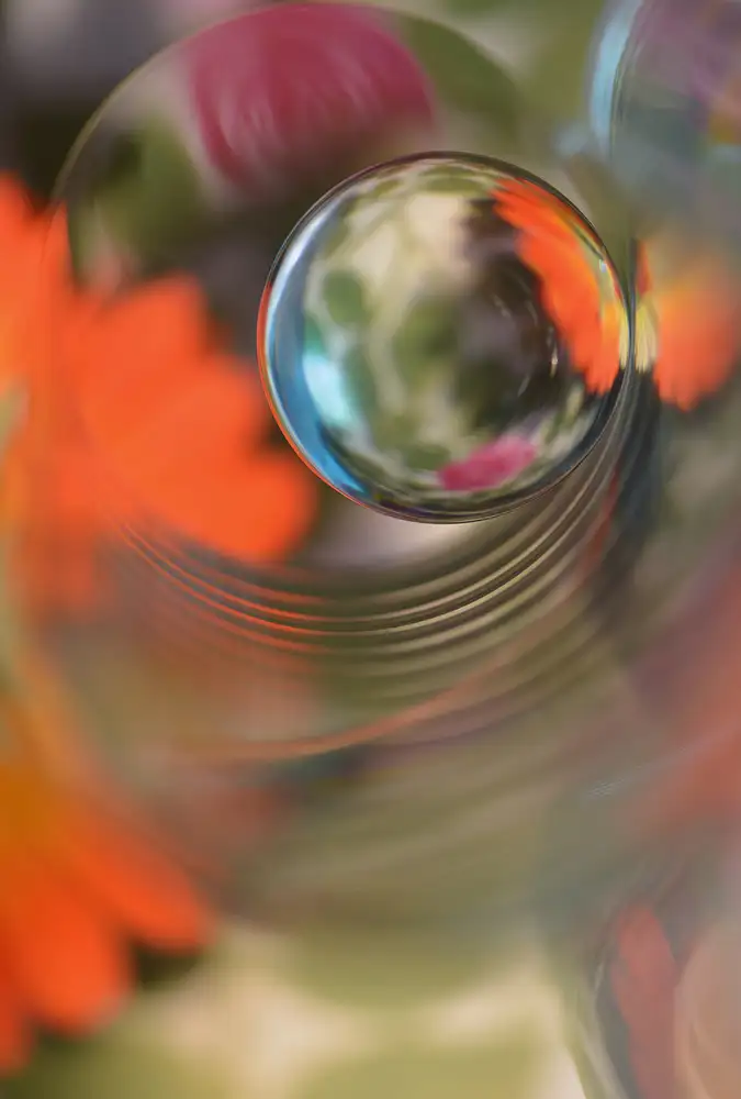 Westum, Heidi: Sfera floreale