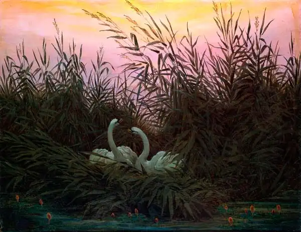 Friedrich, Caspar David: Swans in the Reeds