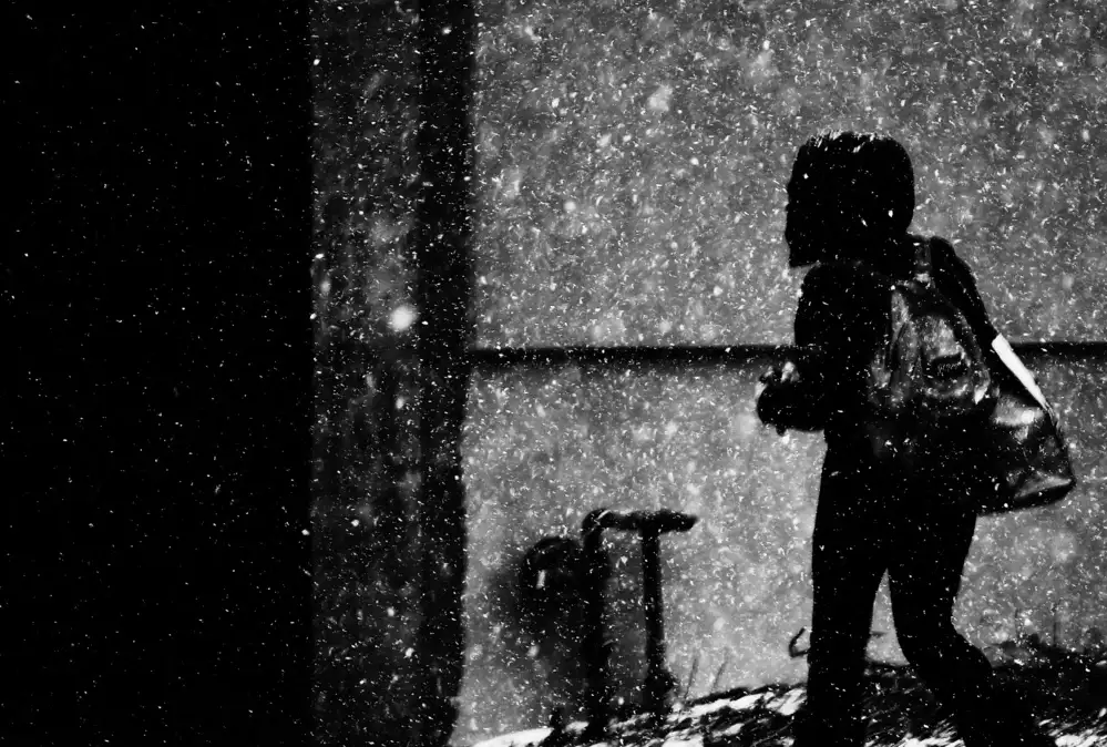 Wang, Jian: Giorno di neve