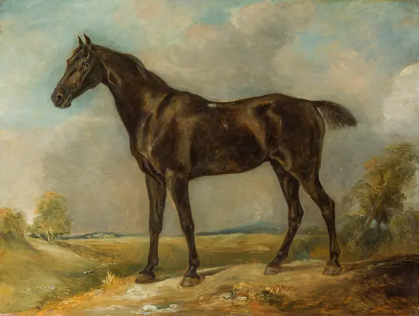 Constable, John: Golding Constable Black Riding-Horse
