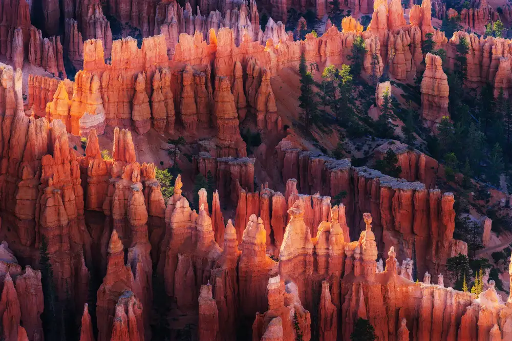 Li, Austin: Bryce Canyon al tramonto