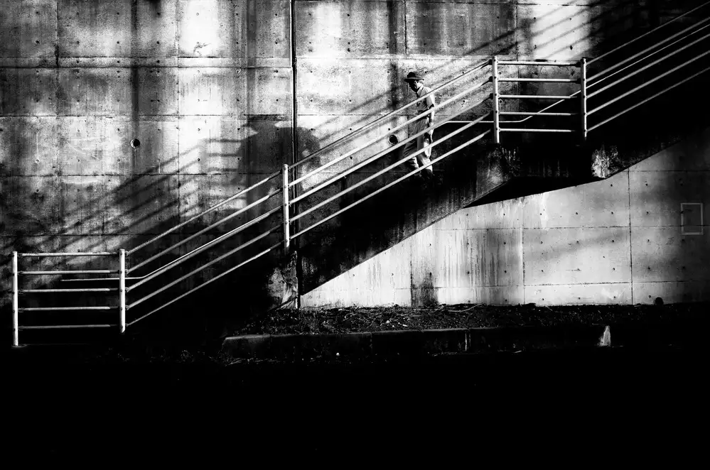 Hashimoto, Tetsuya: Sosia