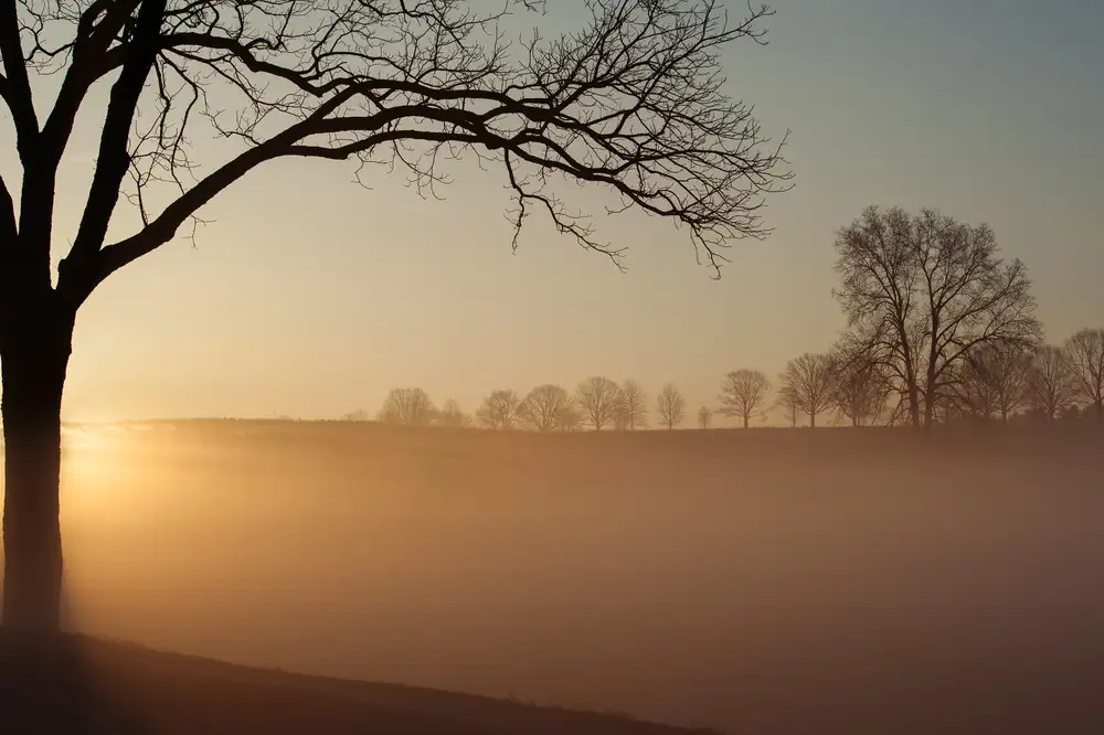Li, Austin: Alba nel Parco Nazionale di Valley Forge