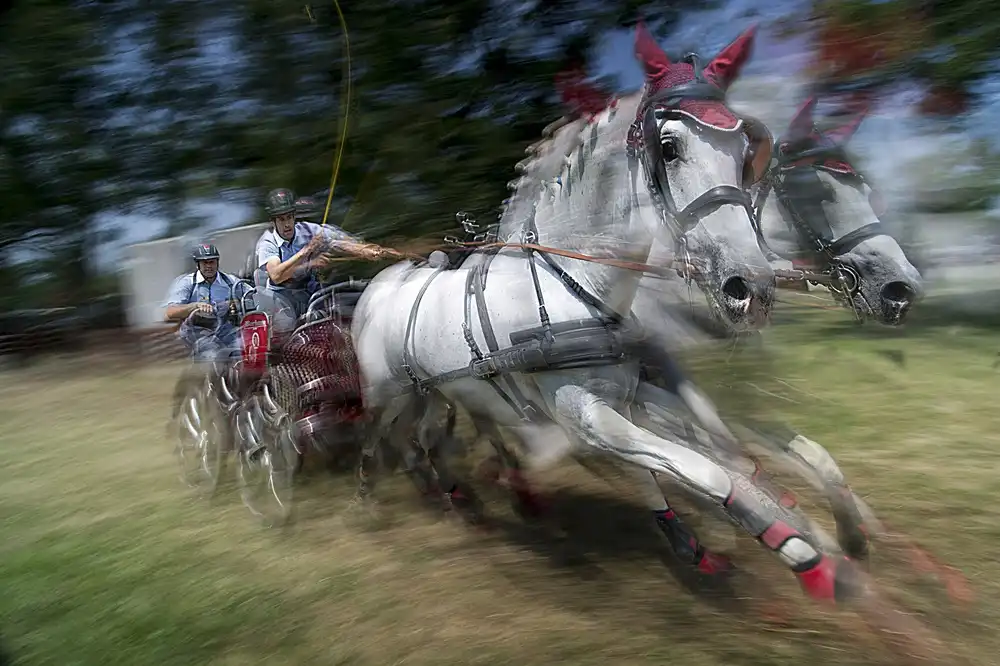 Malovrh, Milan: galoppo adrenalinico