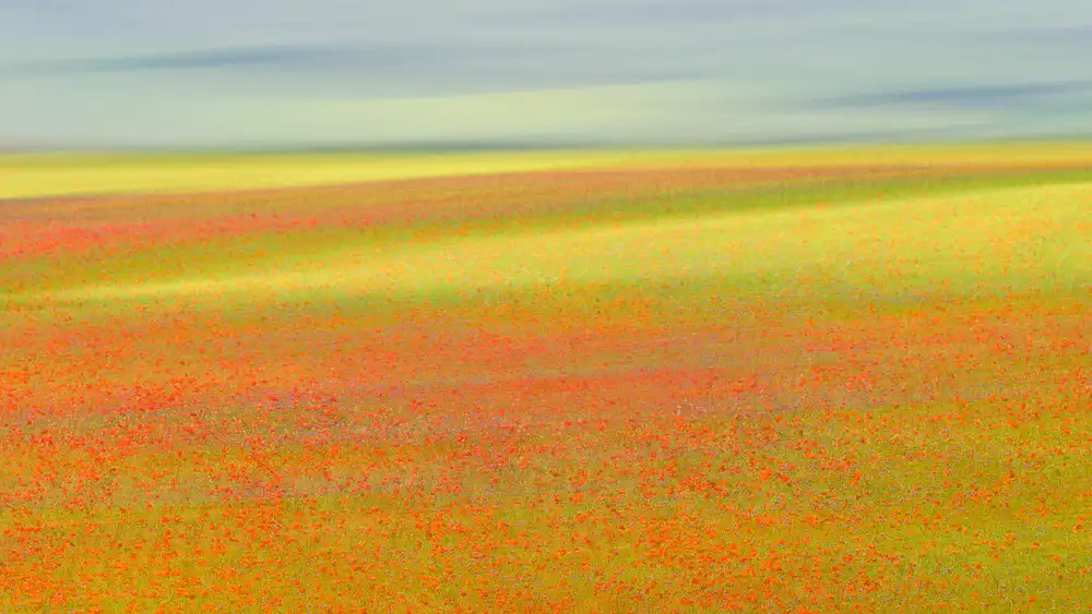 Marchegiani, Roberto: Colori di Castelluccio