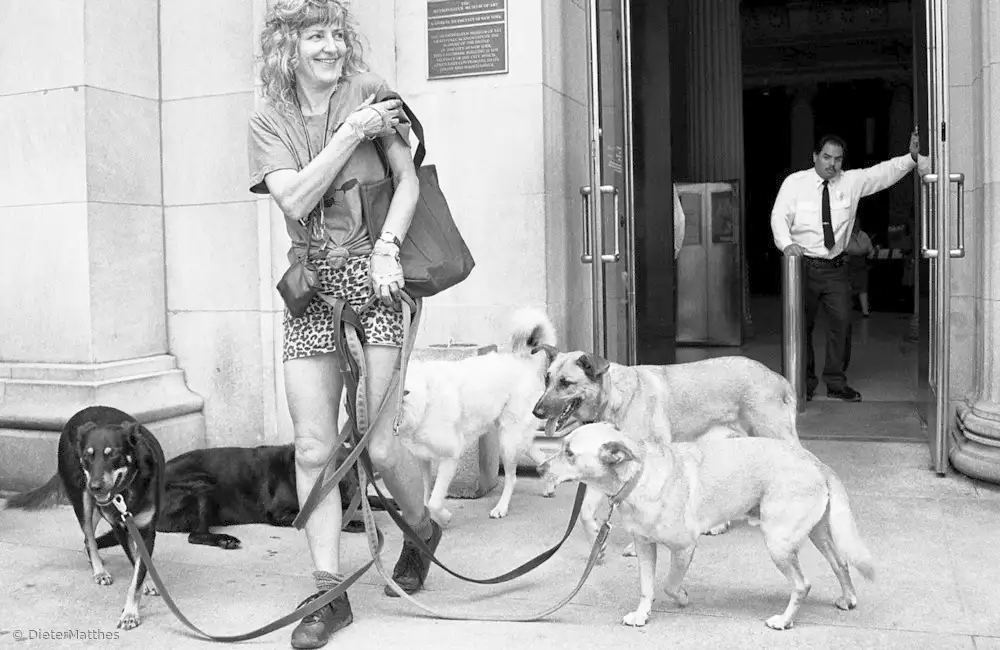 Matthes, Dieter: Passeggiata con il cane (dalla serie Il ragazzo incontra la ragazza)