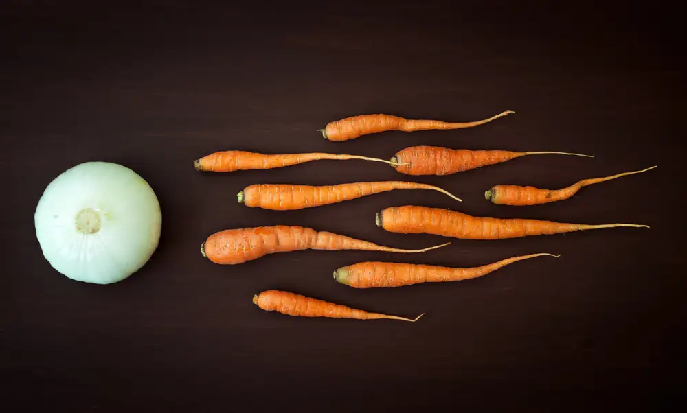 Smajić, Nermin: Riproduzione vegetale
