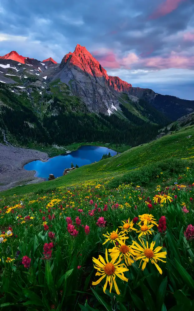 Xu, Mei: Colorado colorato