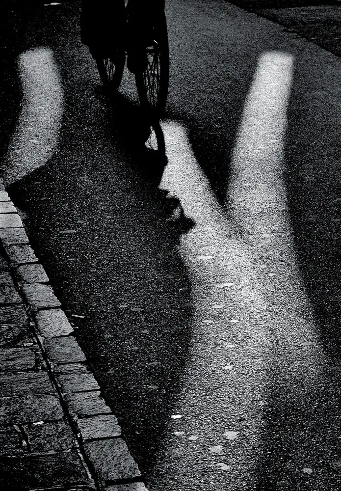 Stoop, Susanne: Il fattore X