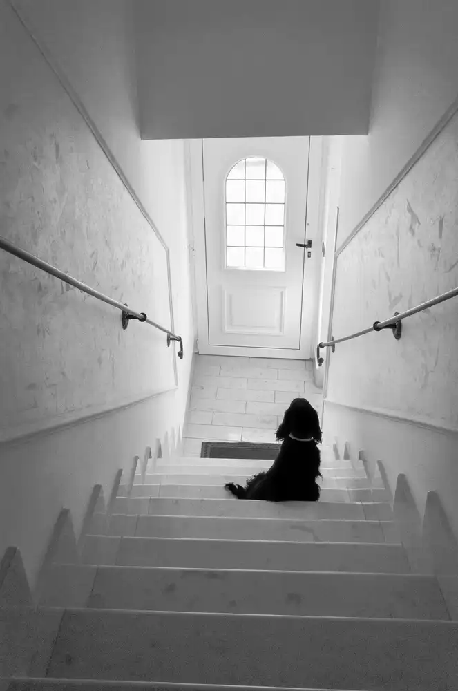 Lucidi, Riccardo: Waiting