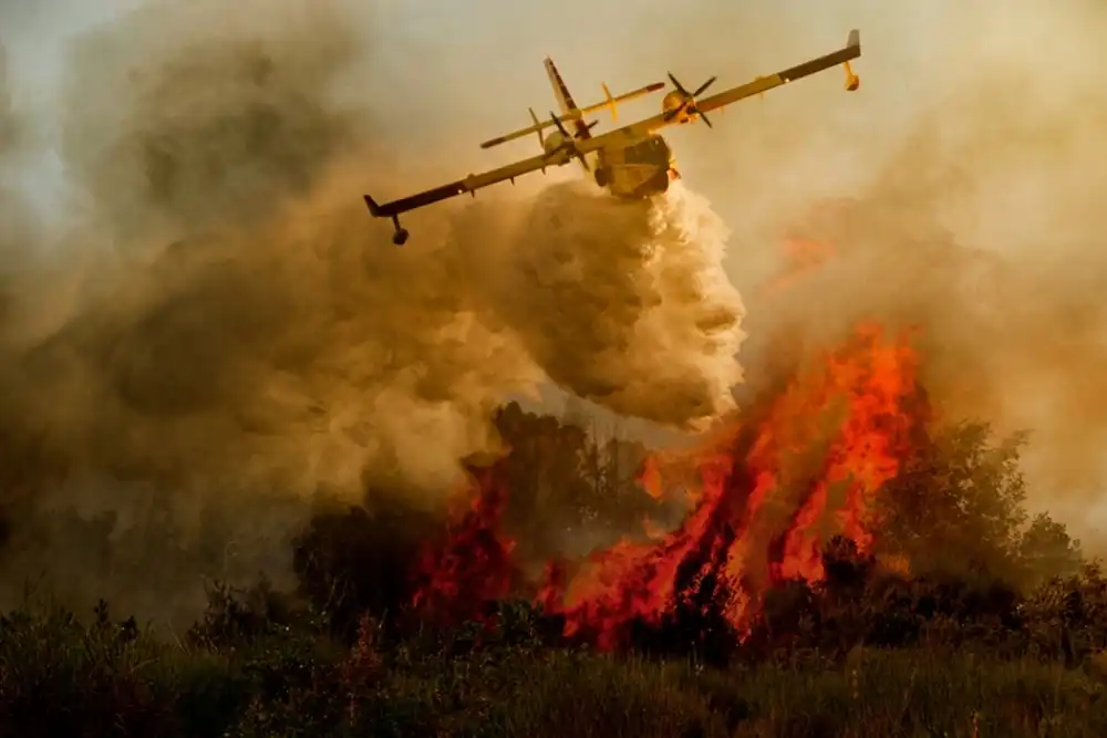 Grambone, Antonio: Incendie dans le Parc National du Cilento #1