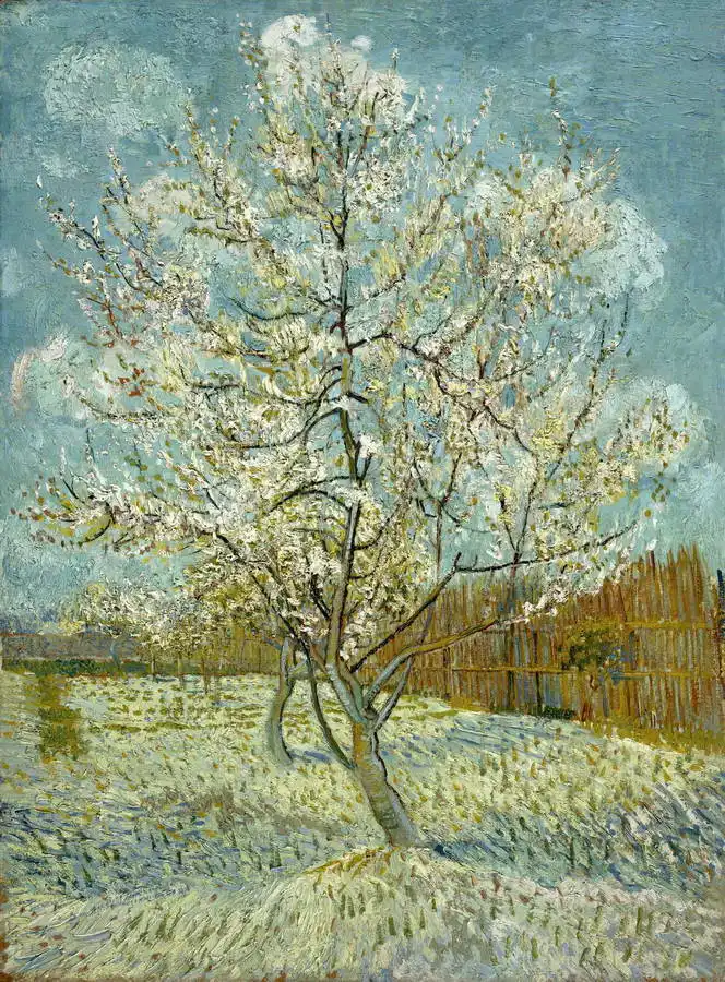 Gogh, Vincent van: Flowering peach