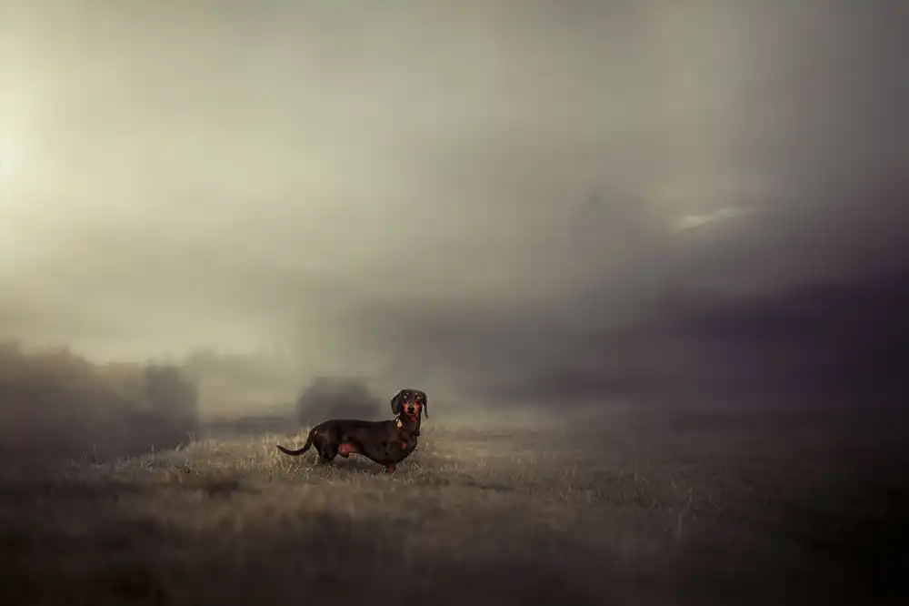 Willers, Heike: Forever is composed of nows...