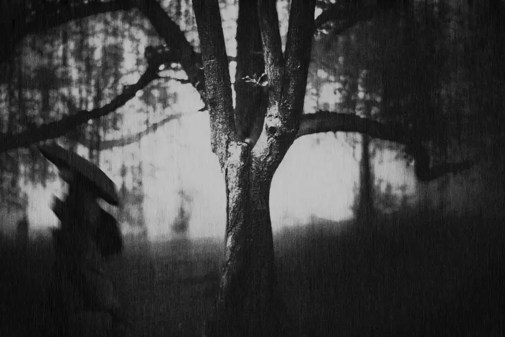 Tsuchida, Teruhiko: Albero