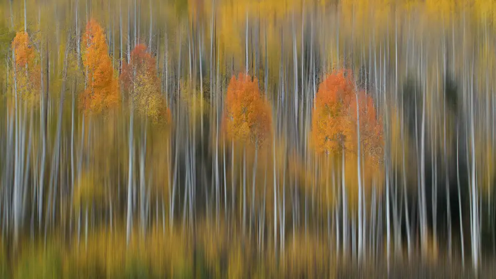 Li, Austin: Impressione autunnale n. 2