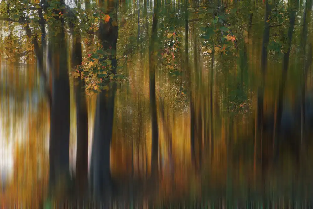 Li, Austin: Impressione autunnale n. 1