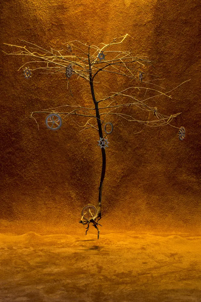Barkow, Brig: Arbre à engrenages