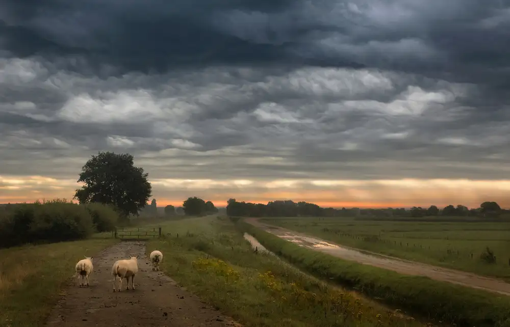 Talen, Nel: Wehende Wolken