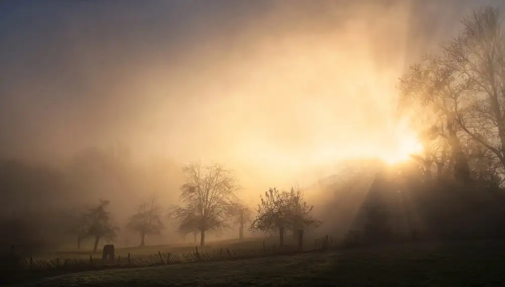 Urlings, Lou: Slavné ráno