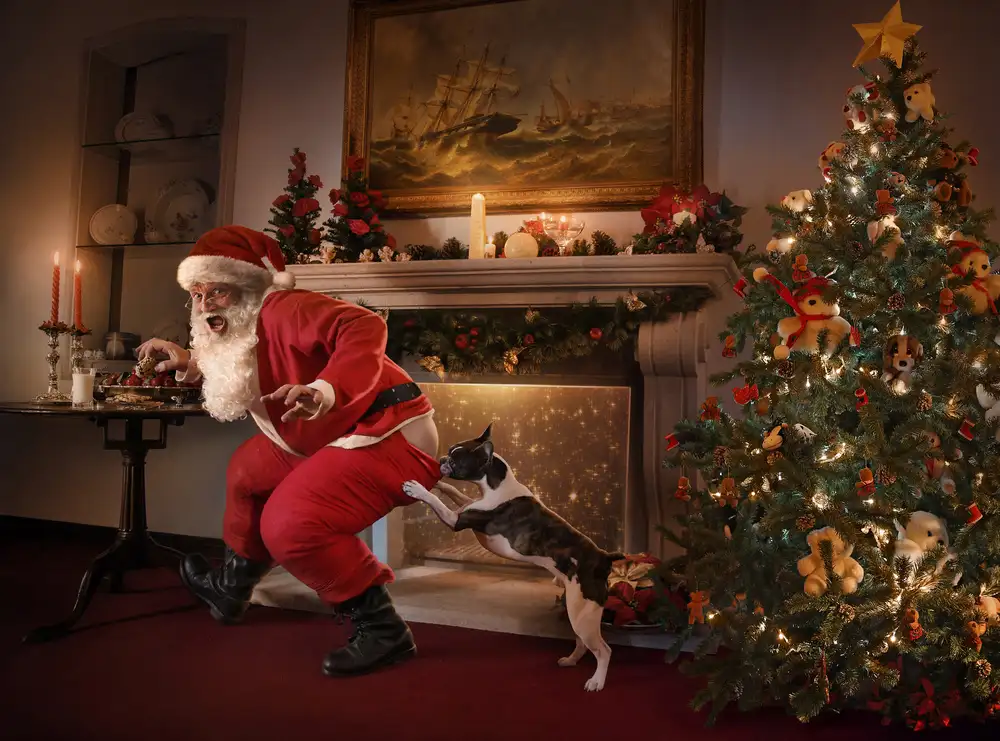 DDiArte: Babbo Natale è stato catturato!
