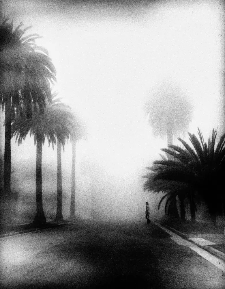 Labagnara, Roxana: Nebbia