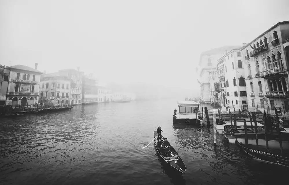 Pajic, Samir: Venecia