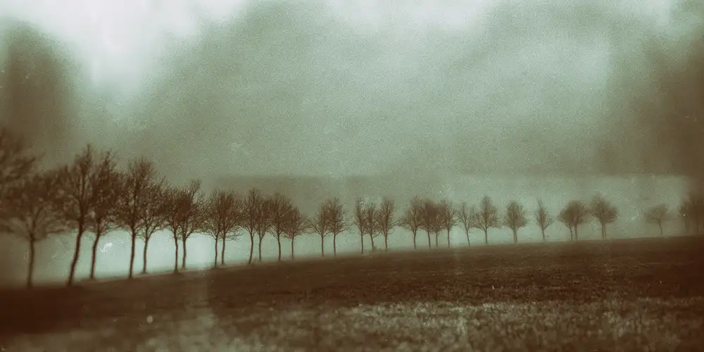 Tuinenga, Jacob: Odissea nei sogni