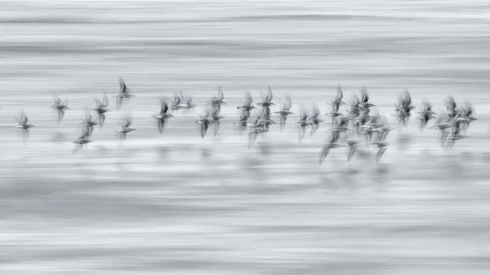 Scalvenzi, Hullot Benjamine: Volo argentato