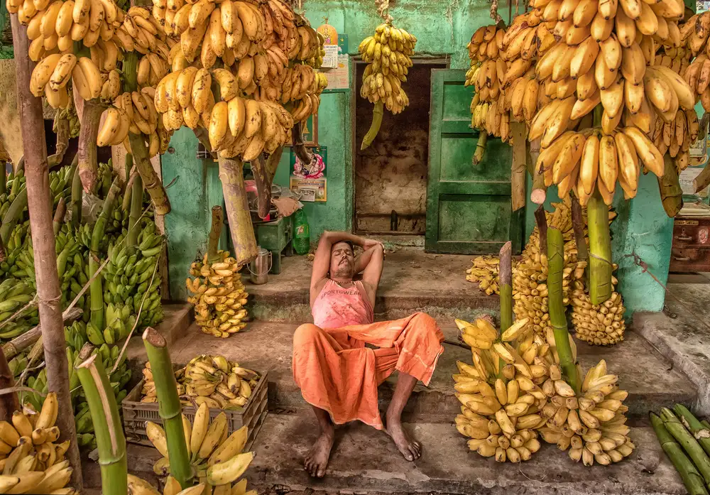 Ohlendorf, Anette: im Bananenparadies // V banánovém ráji