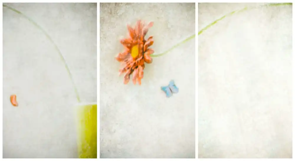 Devos, Delphine: Warten auf den Frühling (Triptychon)