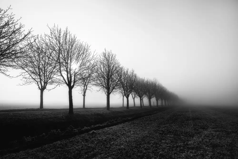 Staelens, Christophe: Perdere la vista