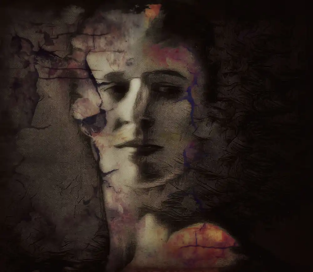 Davidovic, Dalibor: Beginnings( portrait )
