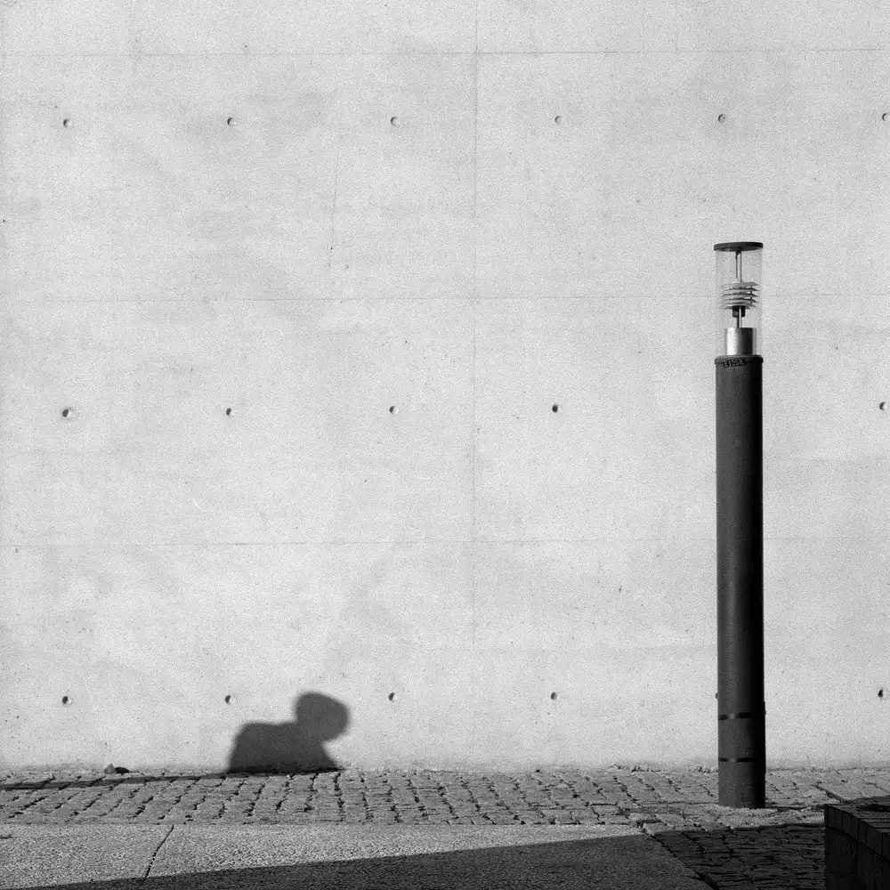 Dias, Sousa Nana: Il signor X