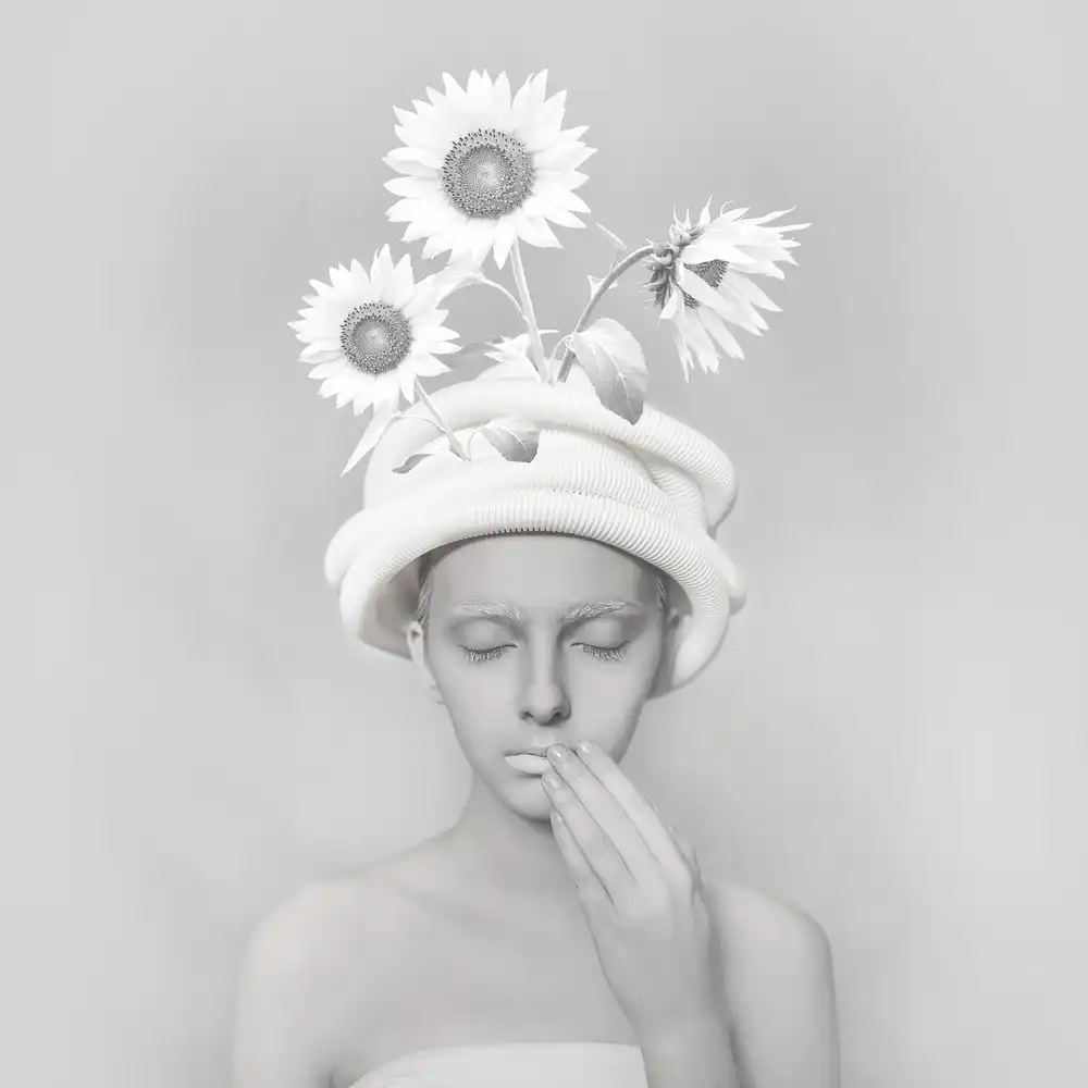 hardibudi: El girasol perdido