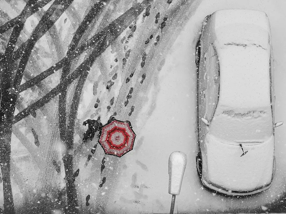 Gabor, Nicoleta: passeggeri invernali
