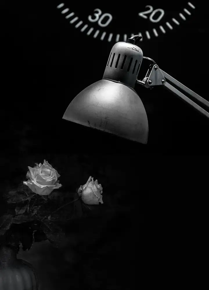 Claes, Gilbert: rose bianche