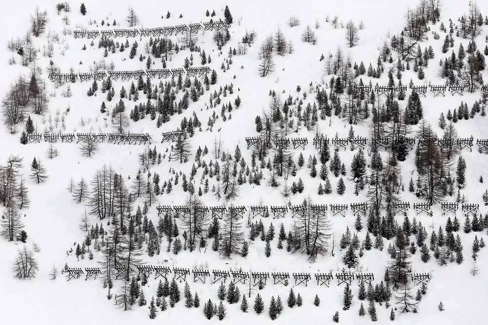Hermann, Uschi: arbres d'hiver