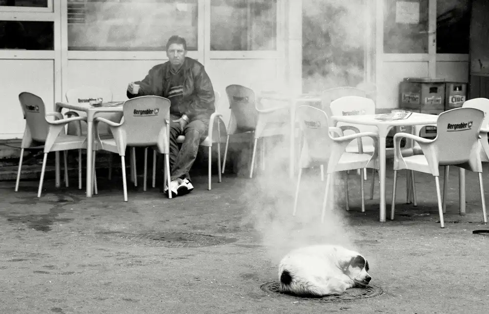 Eftenie, Vlad: Hot dog