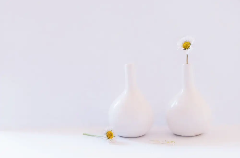 Mihailowitsch, Pia: beauté blanche