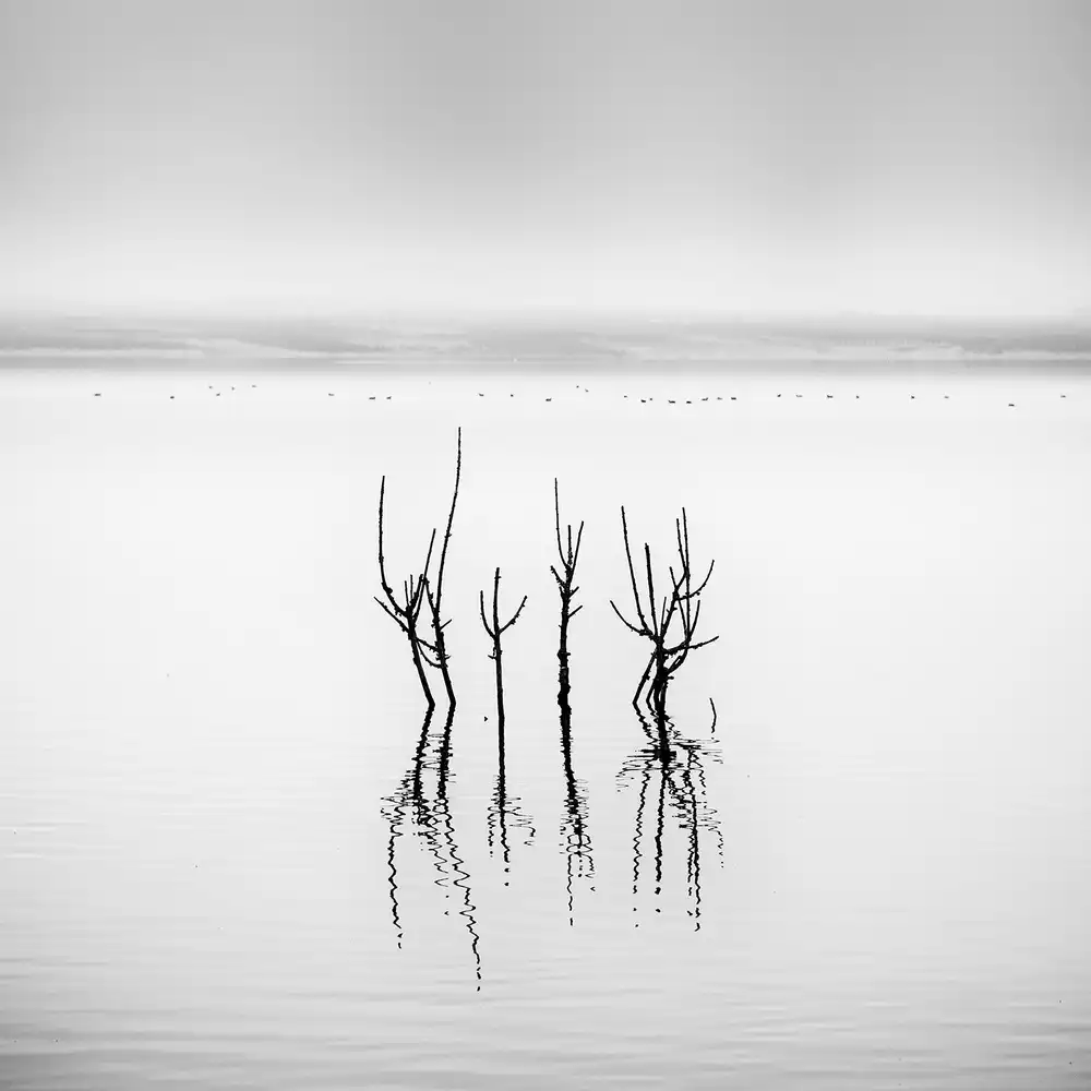 Digalakis, George: Vegoritida Lake 005